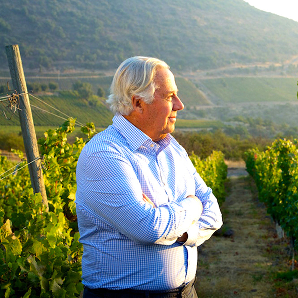 Luis Felipe Edwards Senior in the Vineyards