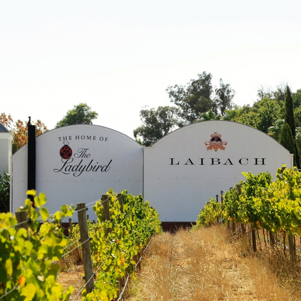 Laibach Wines Winery Buildings in the Vineyards