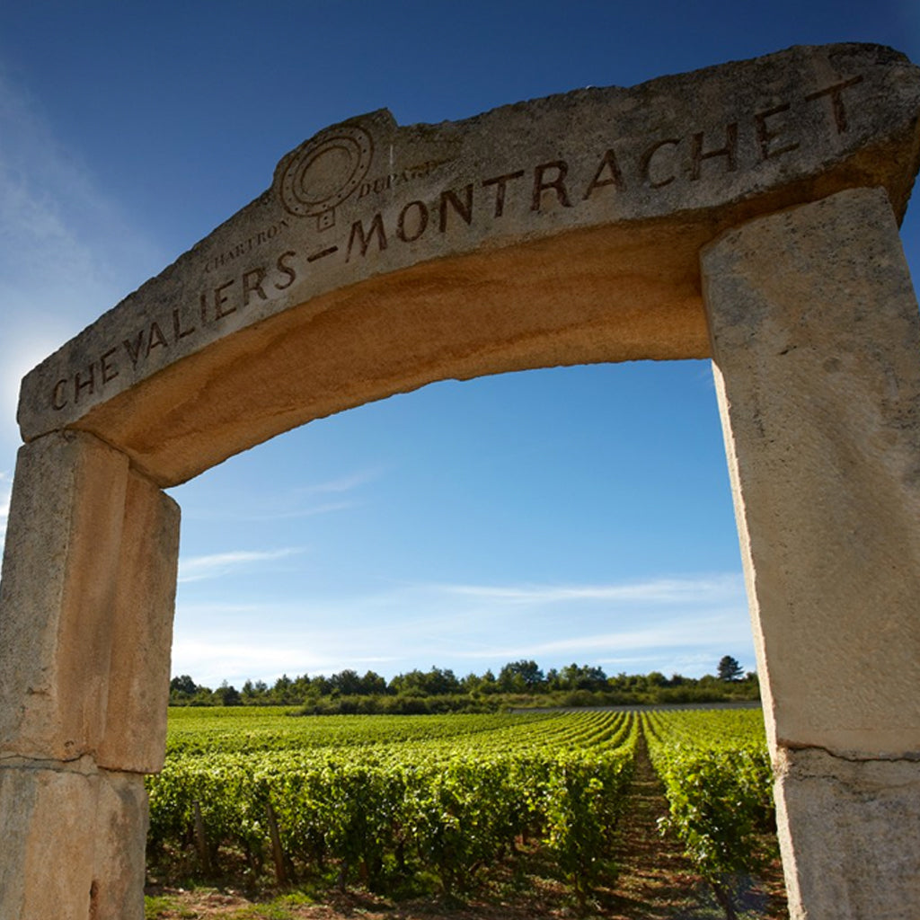 Olivier Leflaive Chevalliers Montrachet Vineyard Entrance