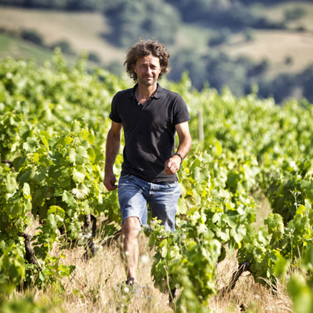 Cédric Chignard walking in the family vineyards