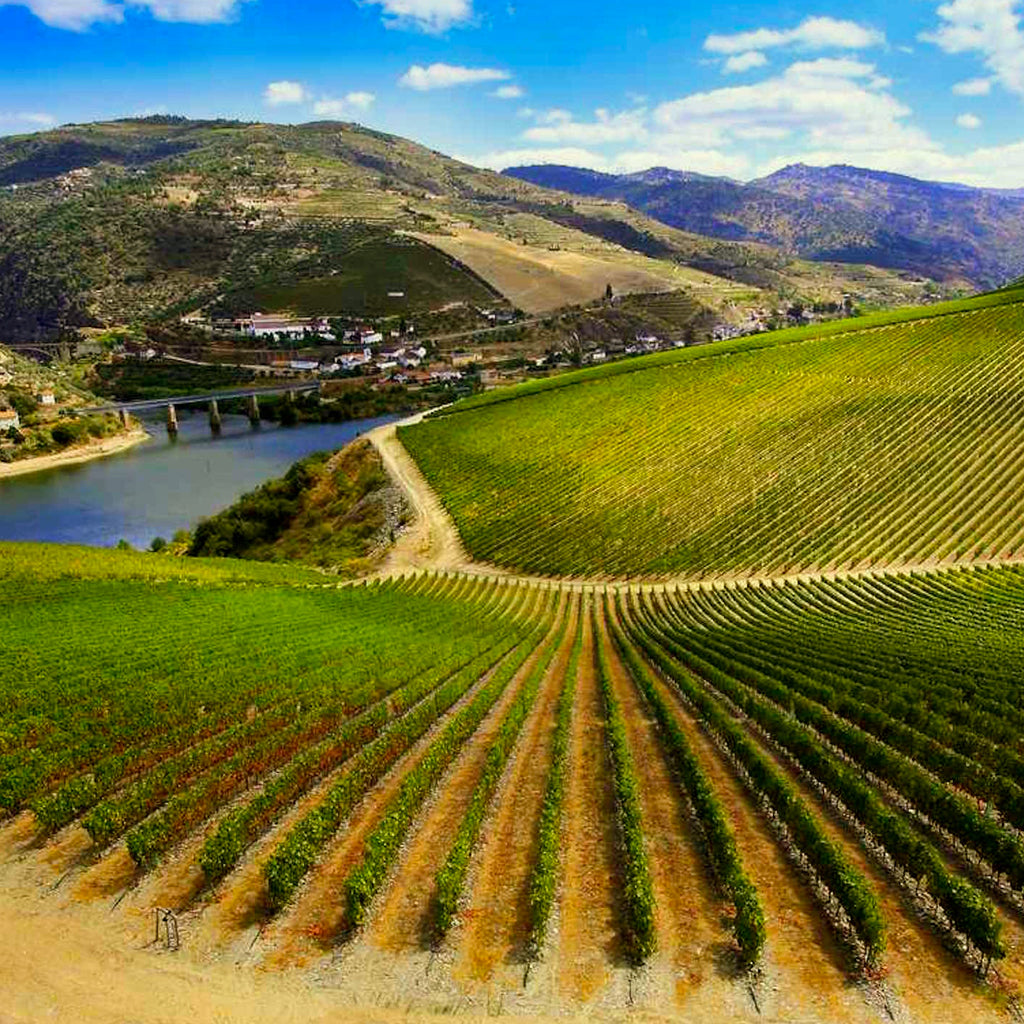 Spain | Duero River Valley