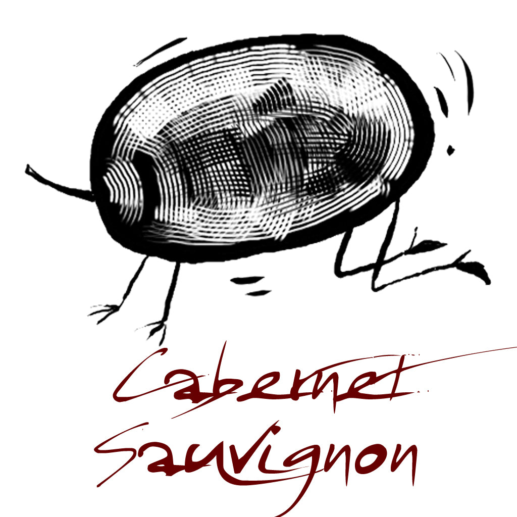 Cabernet Sauvignon Grape Variety