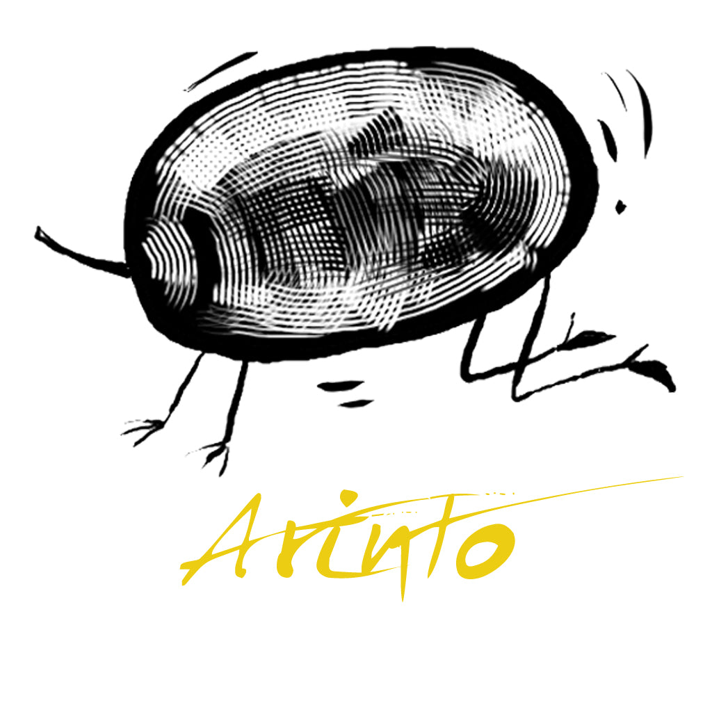 Arinto Wines Available to Buy Online at Hic!