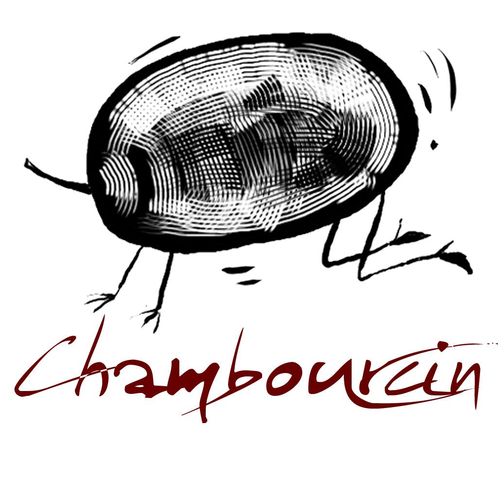 Wines from the Chambourcin Grape Variety