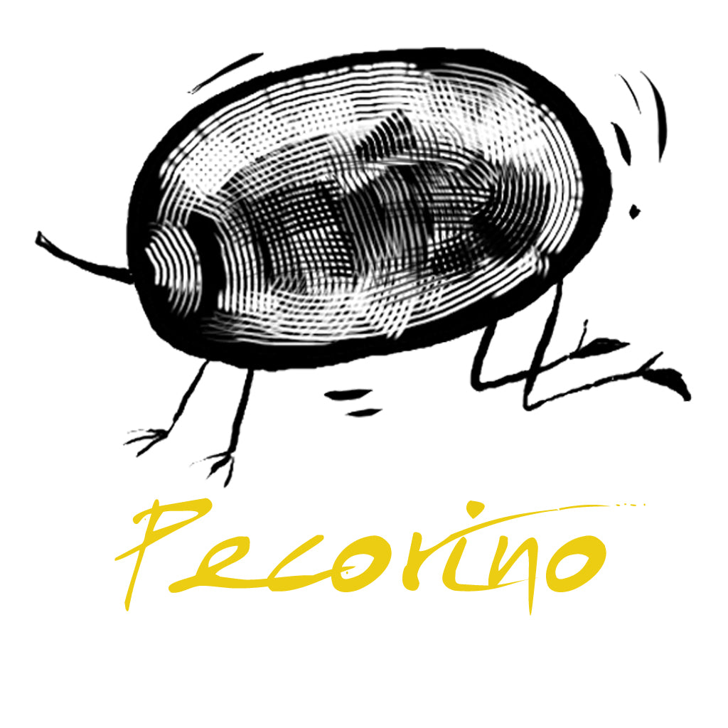 Wines made from the Pecorino grape