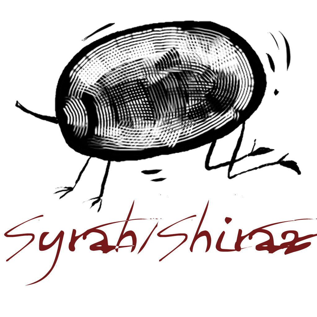 Syrah / Shiraz Grape Variety