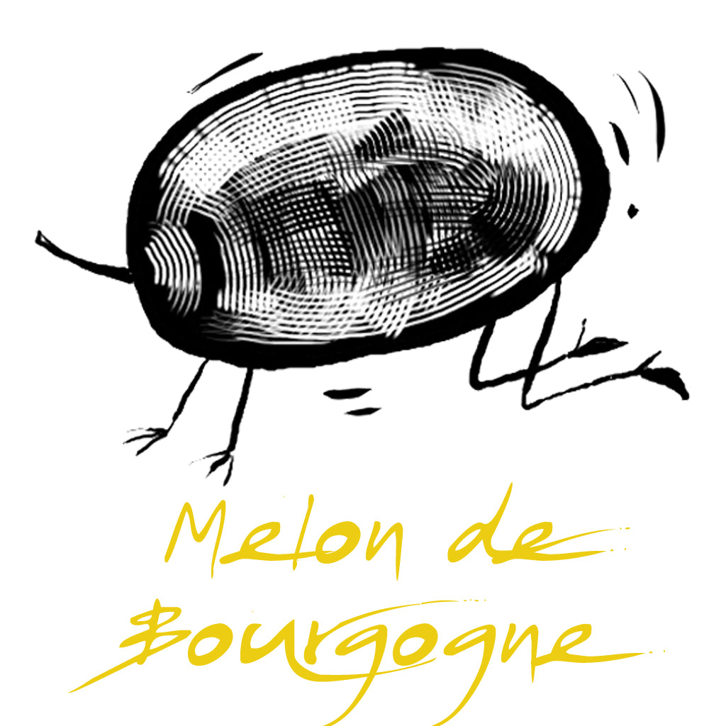 Wine made from the Melon de Bourgogne grape