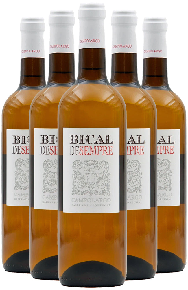 Campolargo Bical de Sempre Branco Portuguese White Wine 6 Bottle Case