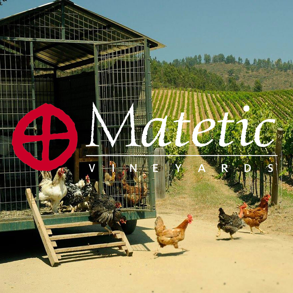 Matetic Vineyards - The Modern Face of Chilean Wine