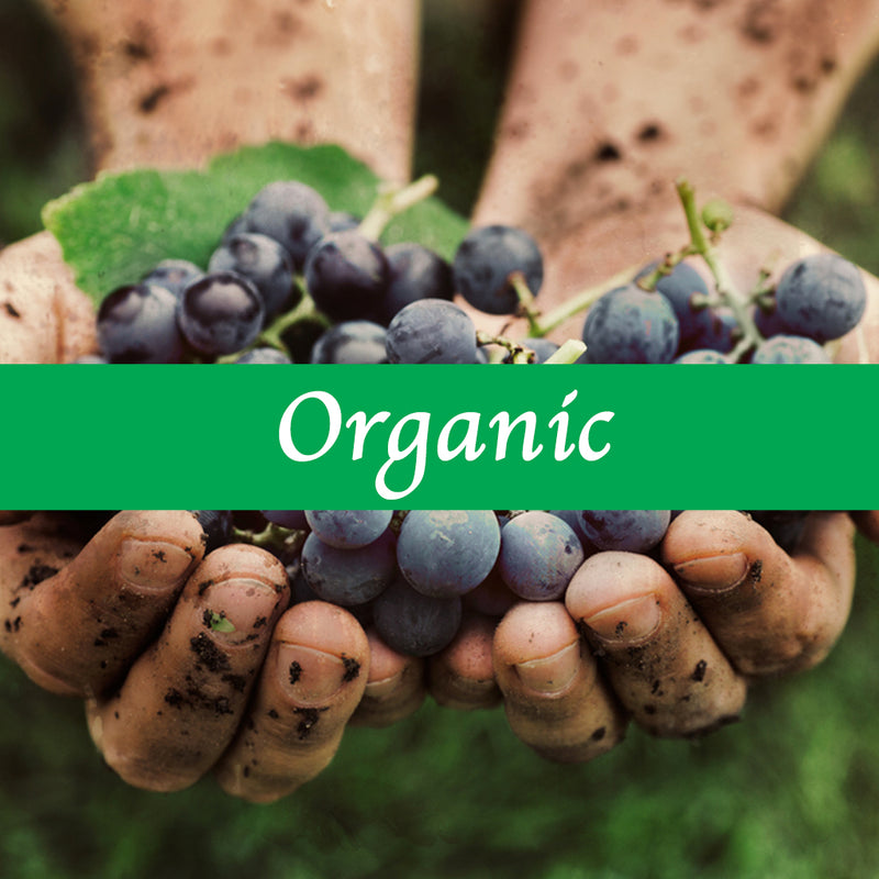 What makes wine Organic?