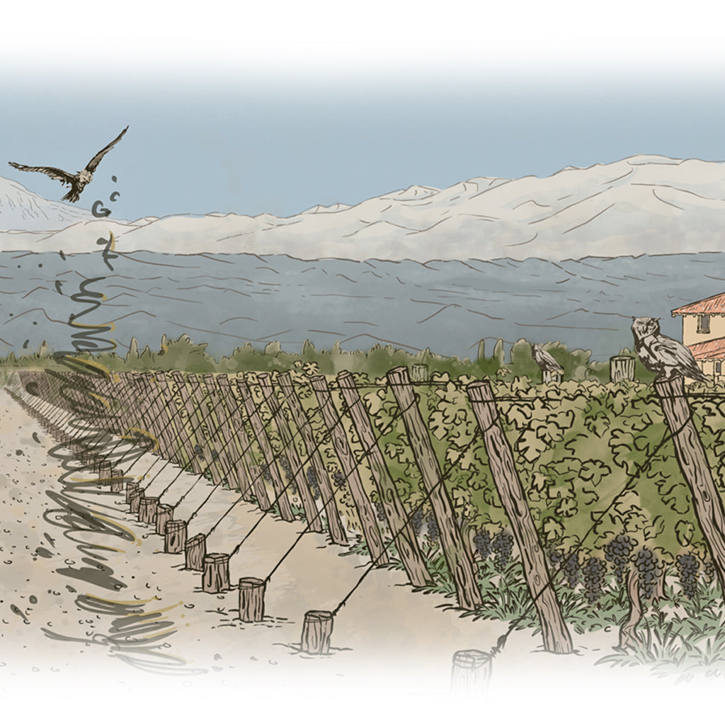 The Owl & The Dust Devil - Augmented Reality For Wine