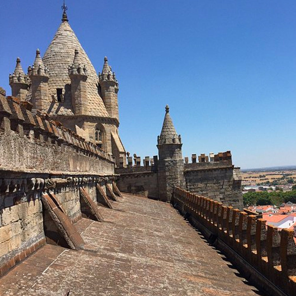 View from Évora Cathedral rooftop