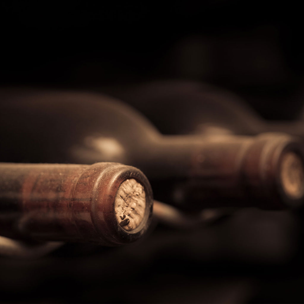 Old Bottles in Cellar