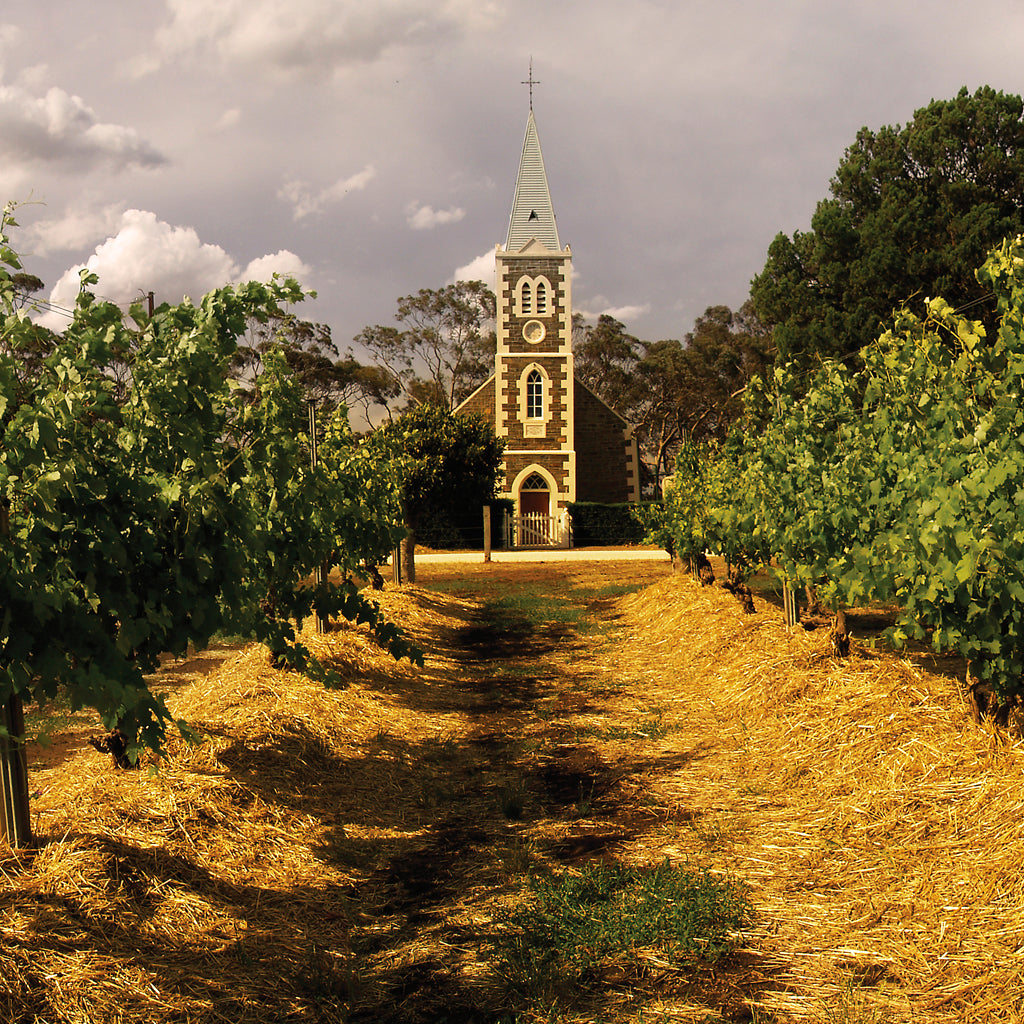 Henschke's Iconic Hill of Grace Vineyard in Eden Valley