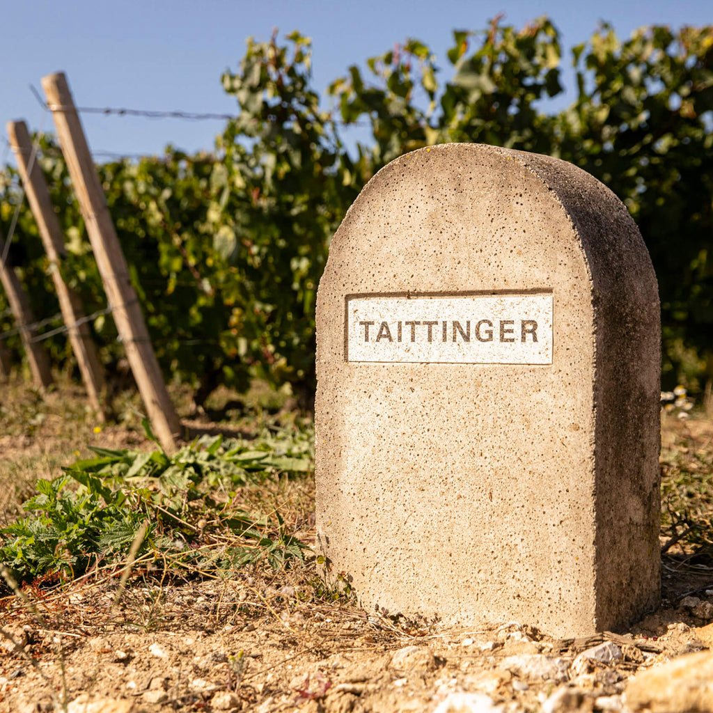 Champagne Taittinger Vineyard Marker Stone