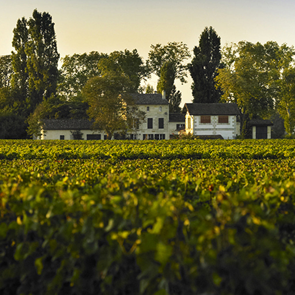 Buy wine from the Bordeaux region of France online at Hic!