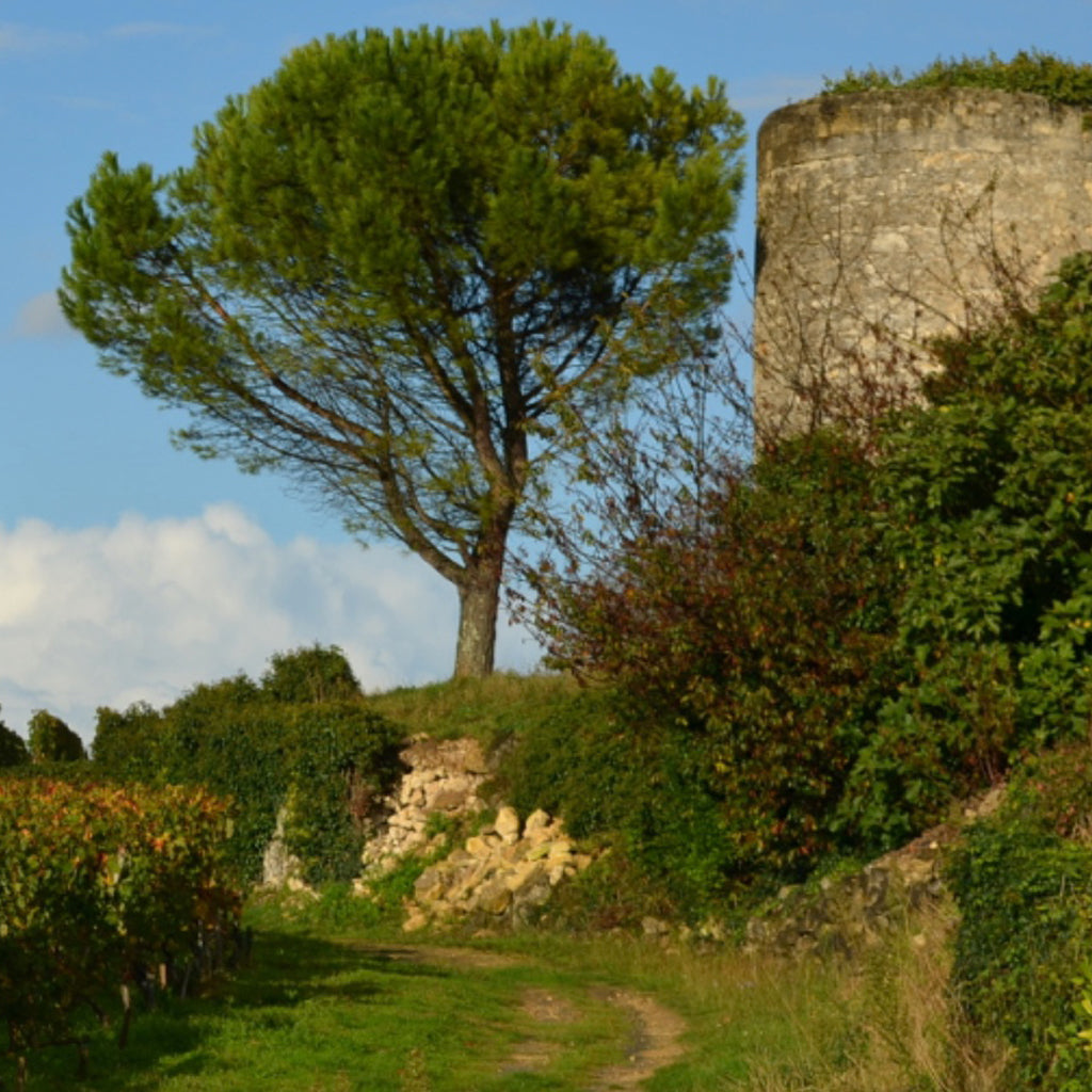 Château la Courolle | Montagne St-Émilion