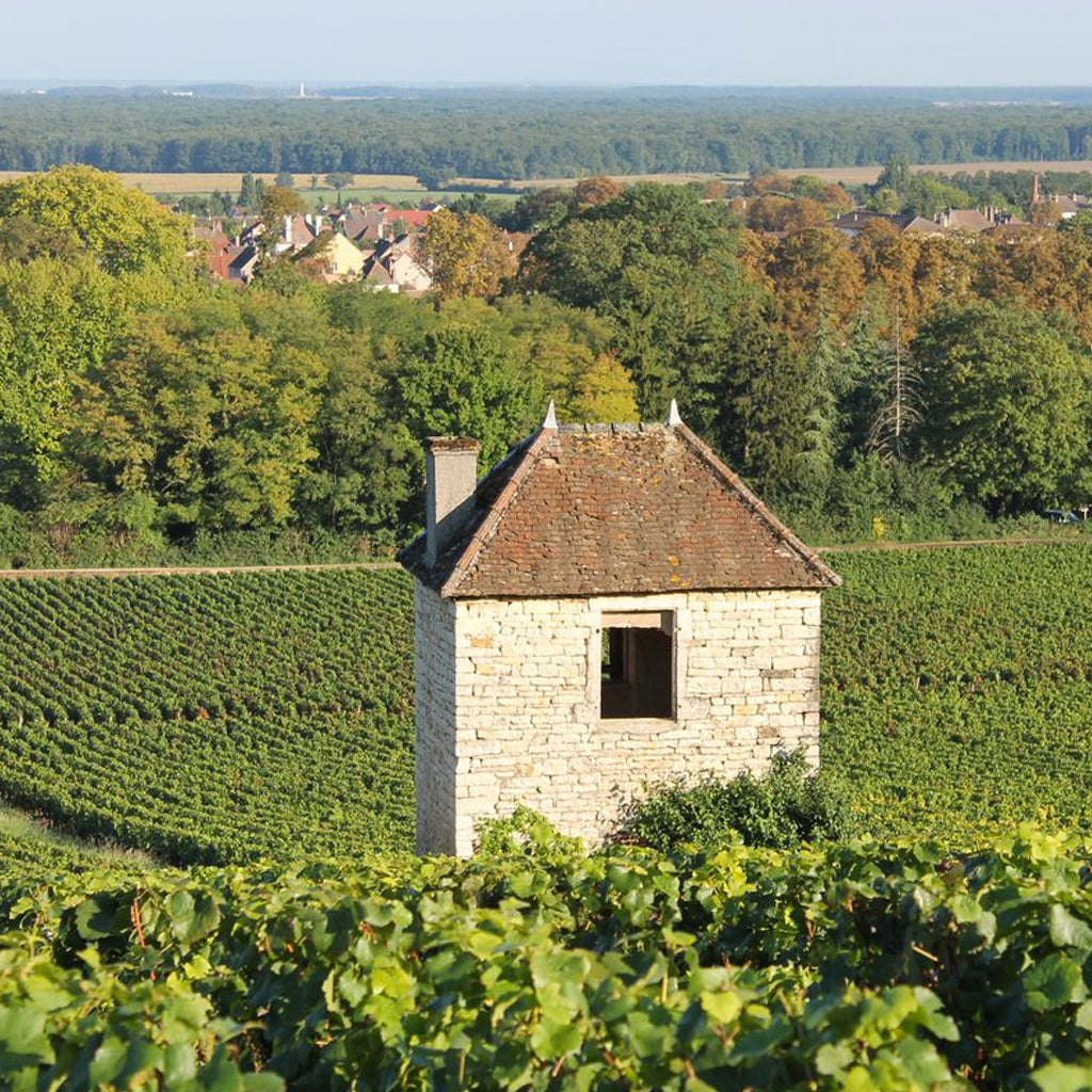 France | Côte Chalonnaise