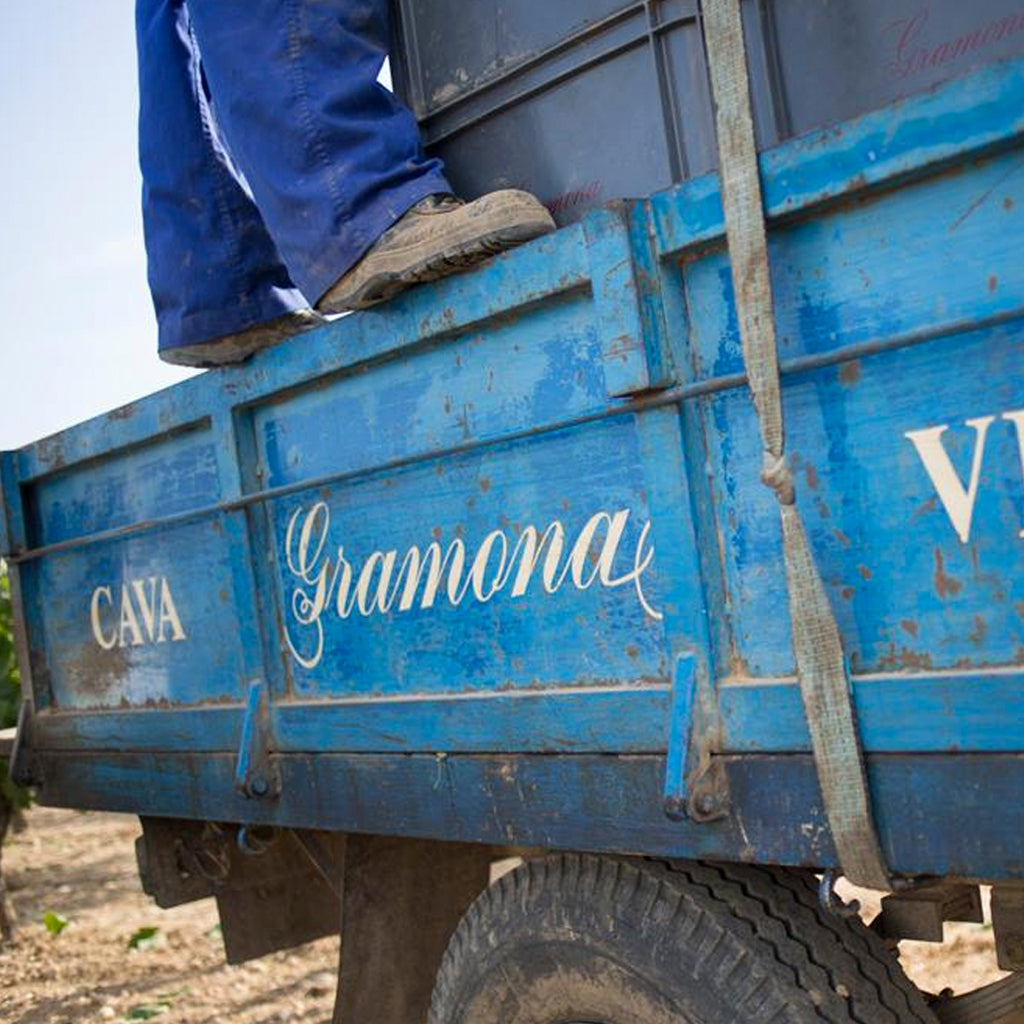 Cava Gramona harvest trailer in vineyards