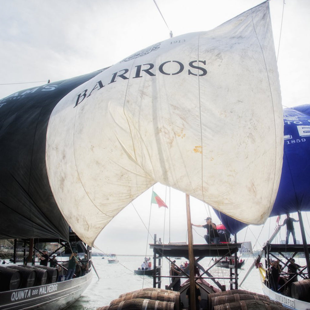 Barros Port Boat at Regatta