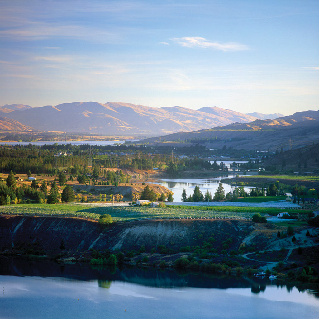 Carrick | Central Otago, New Zealand