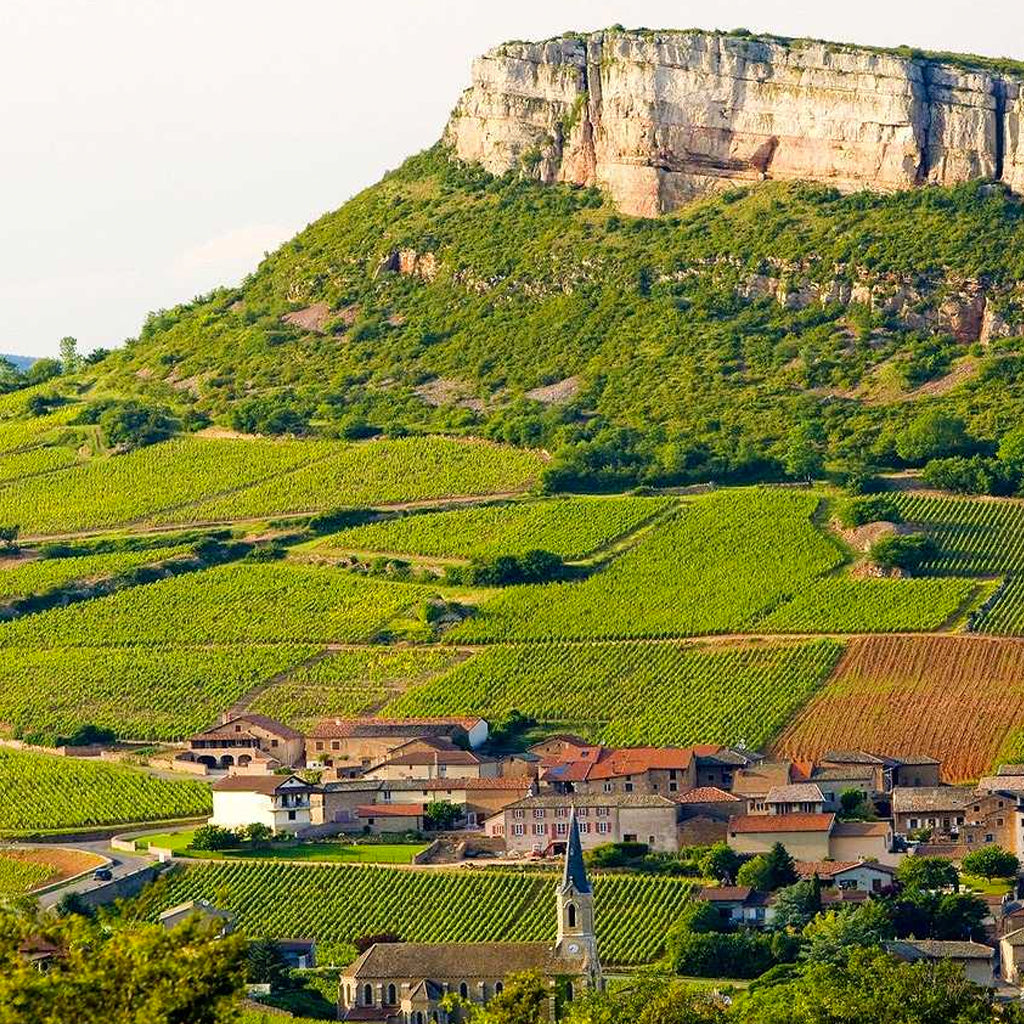 France | The Mâconnais