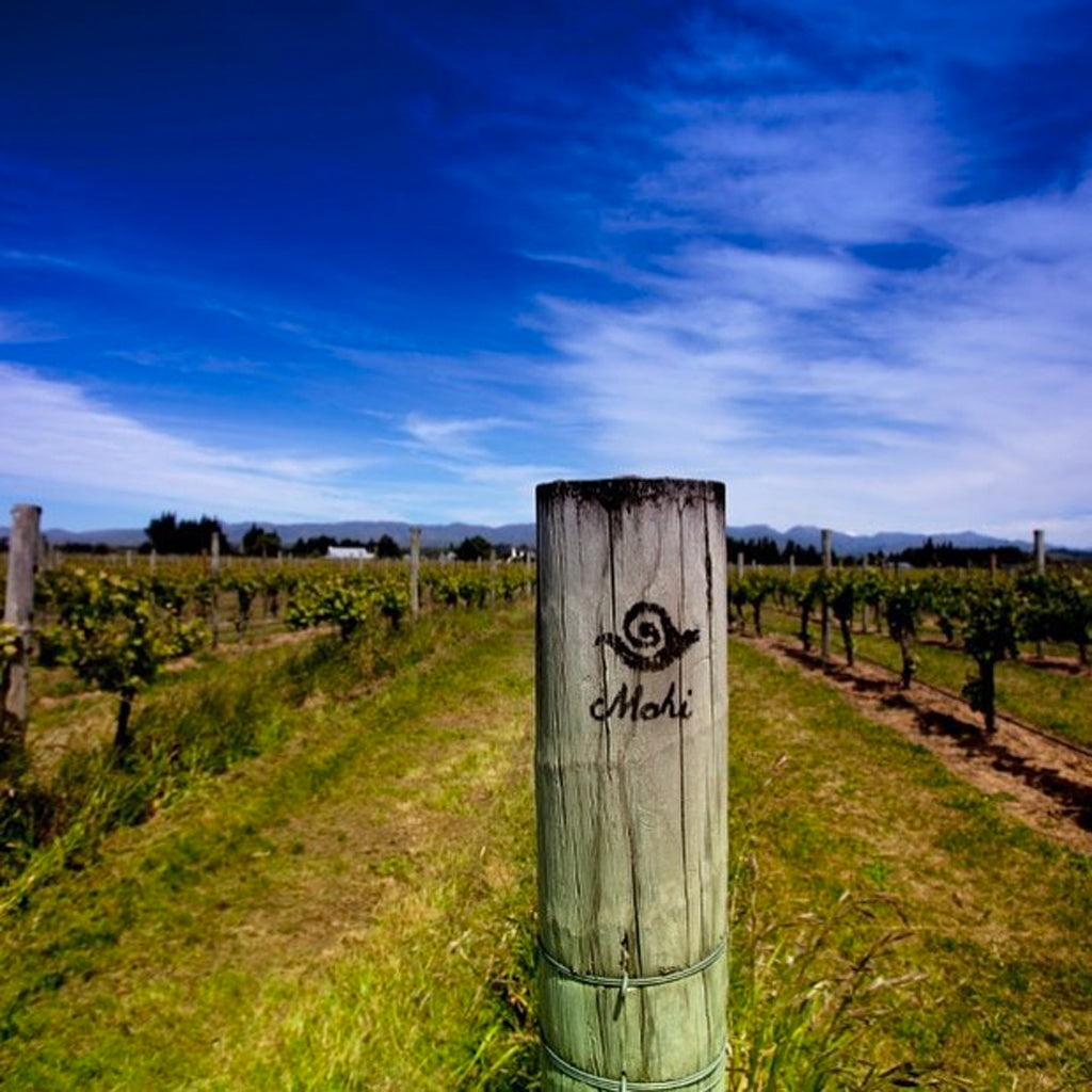 Mahi logo stamped on wooden post in vineyard