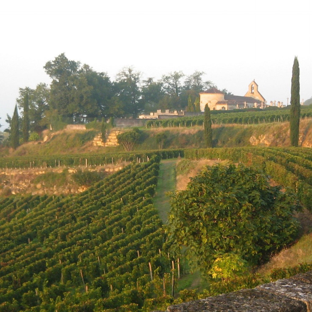 Bordeaux, la fracture viticole. De 700 euros le tonneau de 900