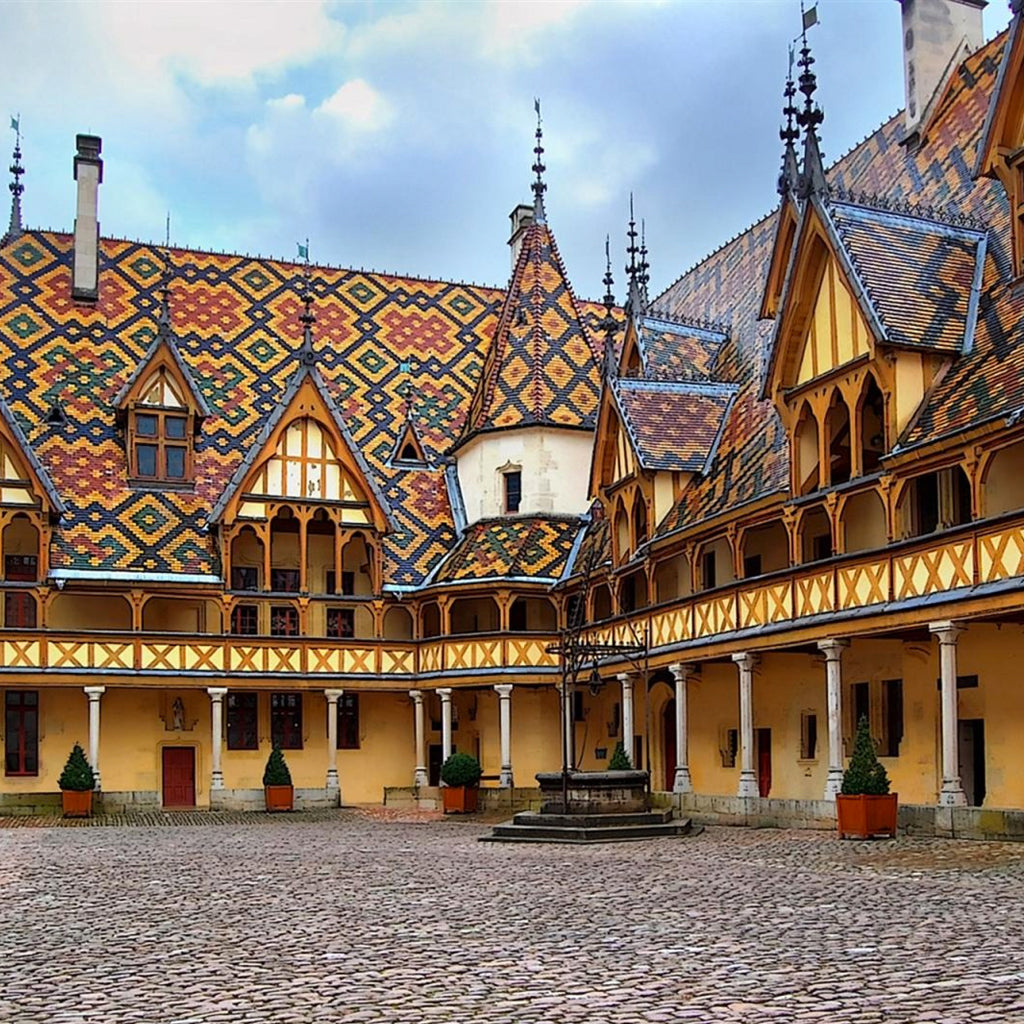 France | Côte de Beaune