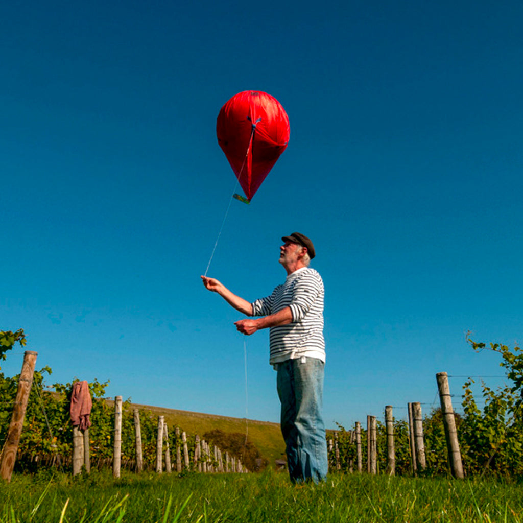 Peter Hall in his vineyard flying a red balloon