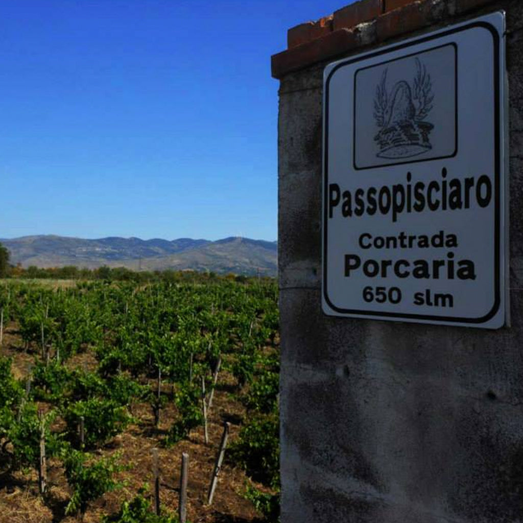 Passopisciaro Sign next to Vineyards