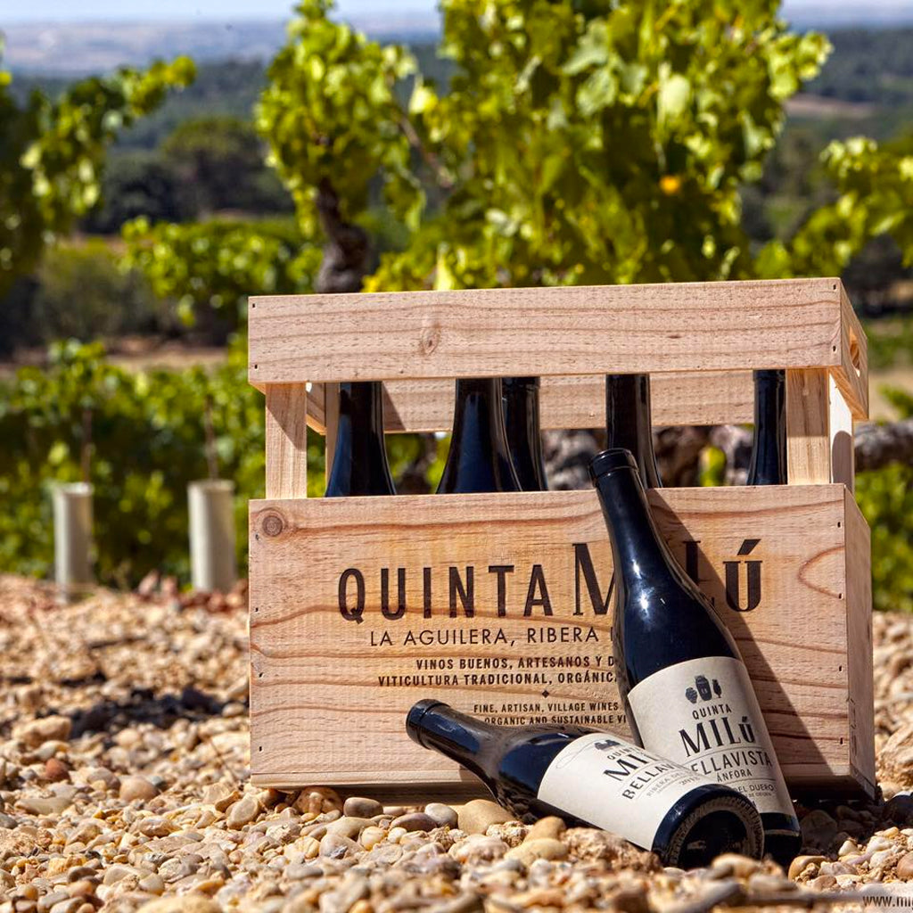 Quinta Milú Wine Bottles and Wooden Wine Crate in Vineyard