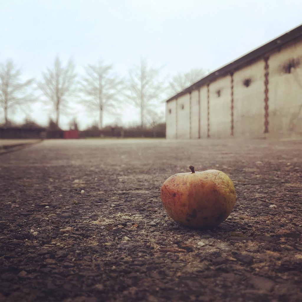 Single apple on floor outside Calvados Roger Groult Distillery