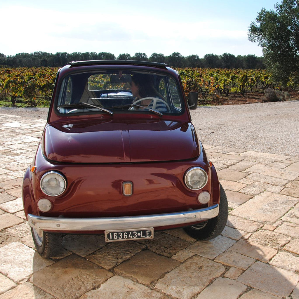 Morella Wines Collection Image