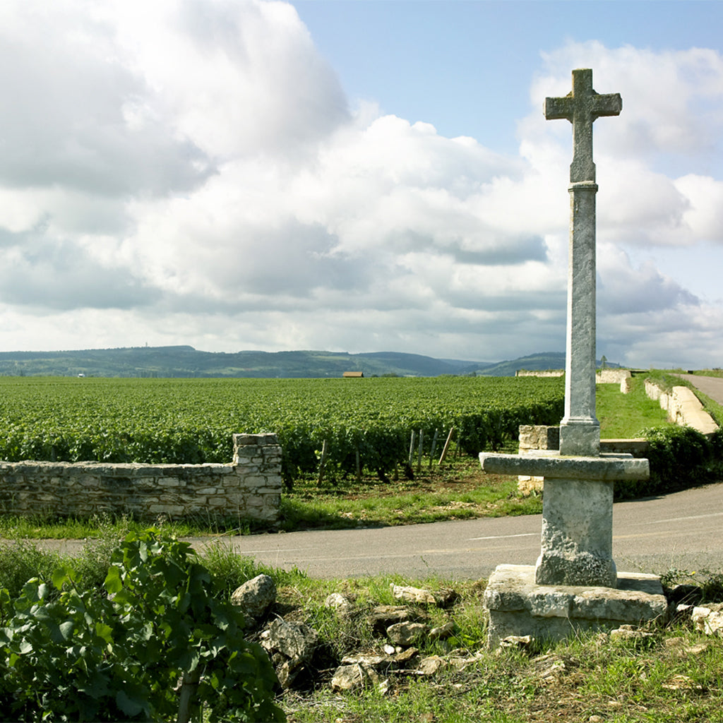 Wines from Burgundy For Sale at Hic!