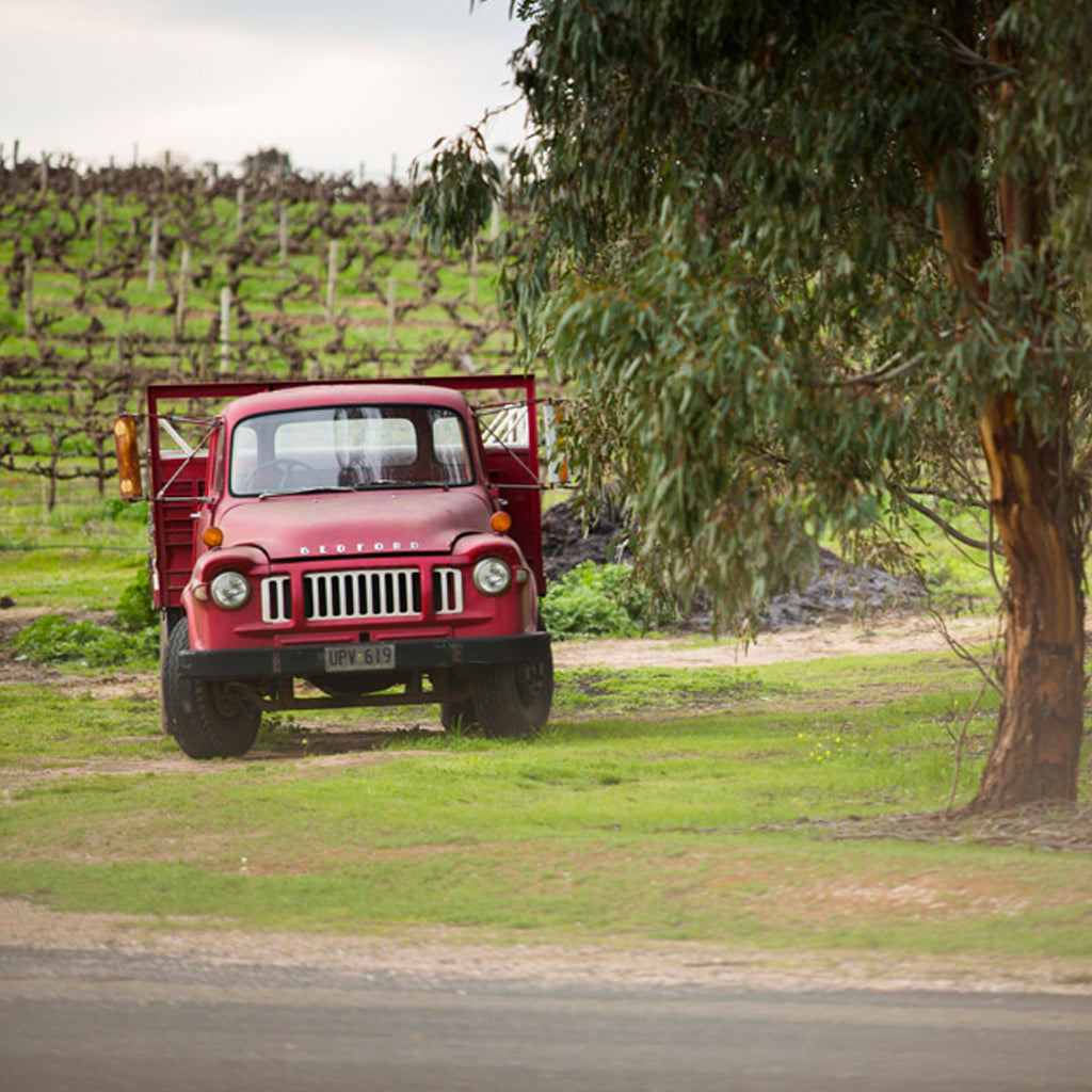 Old Truck in the Heartland Vineyards