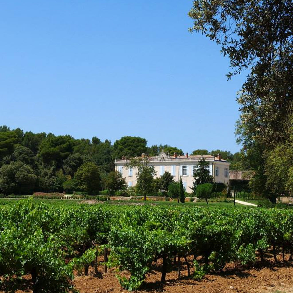Chateau Beauchene and its vineyards