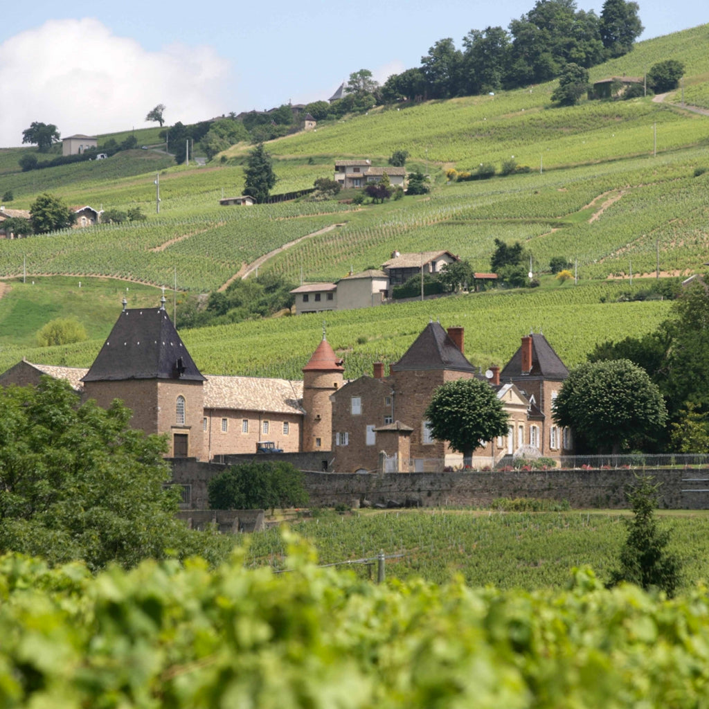 France | Beaujolais