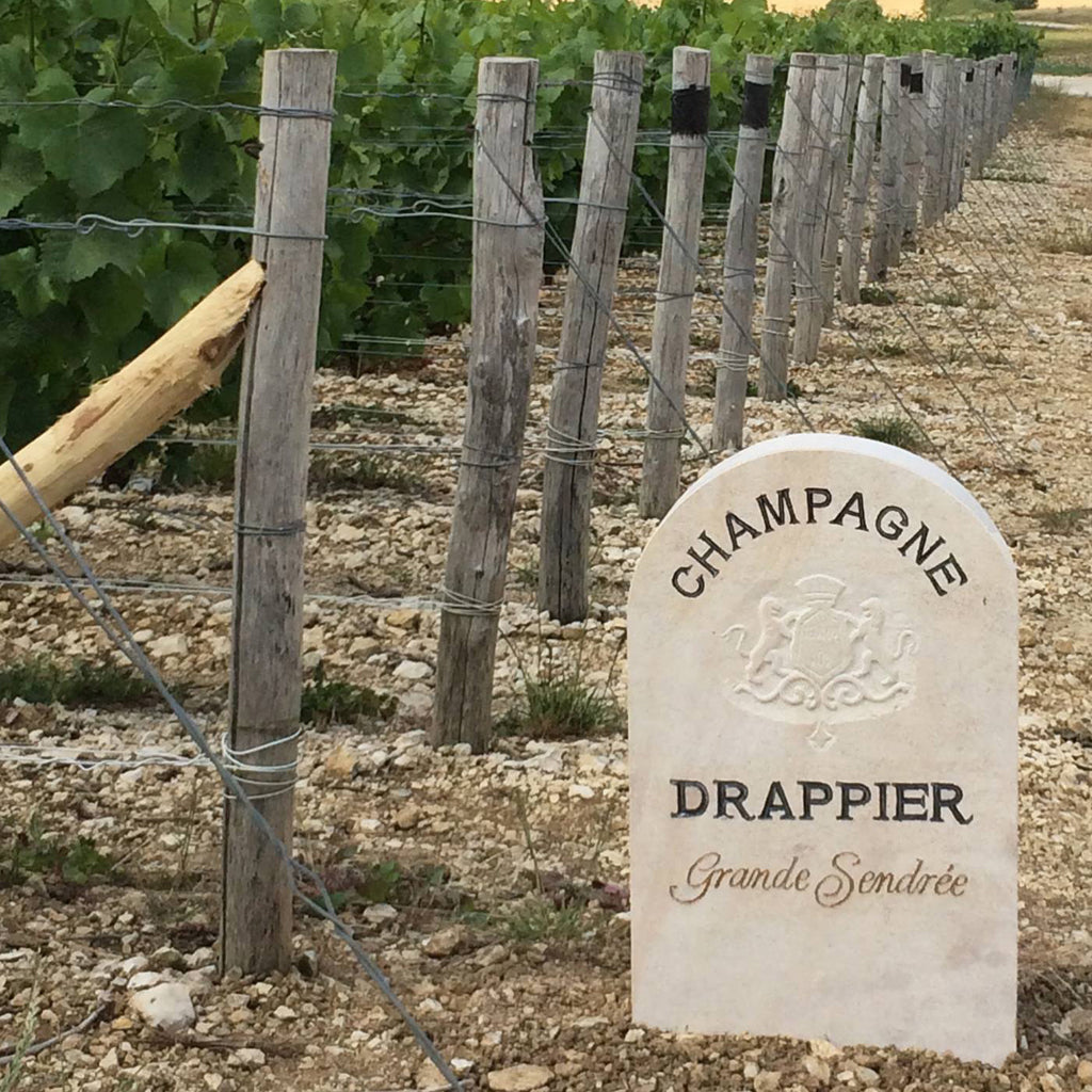 Champagne Drappier Vineyard Marker Stone