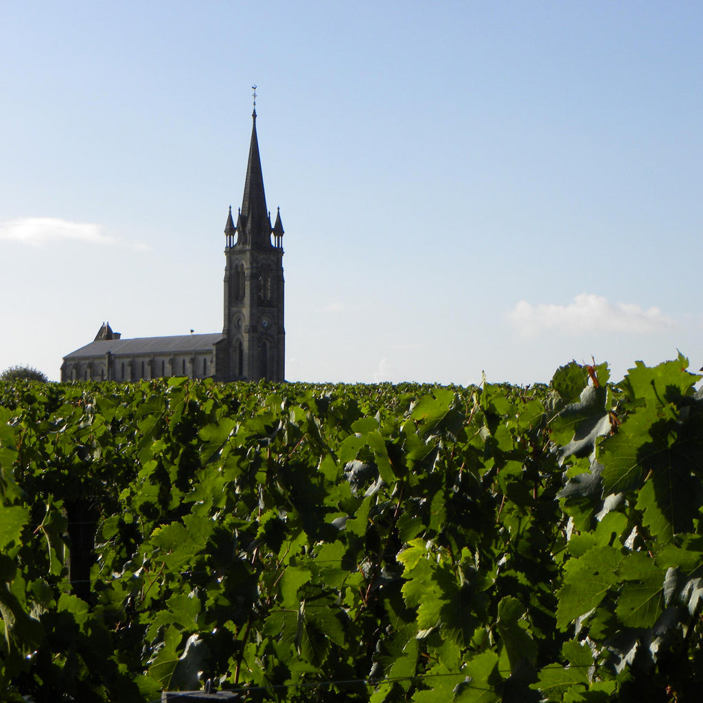 France | Pomerol, Bordeaux