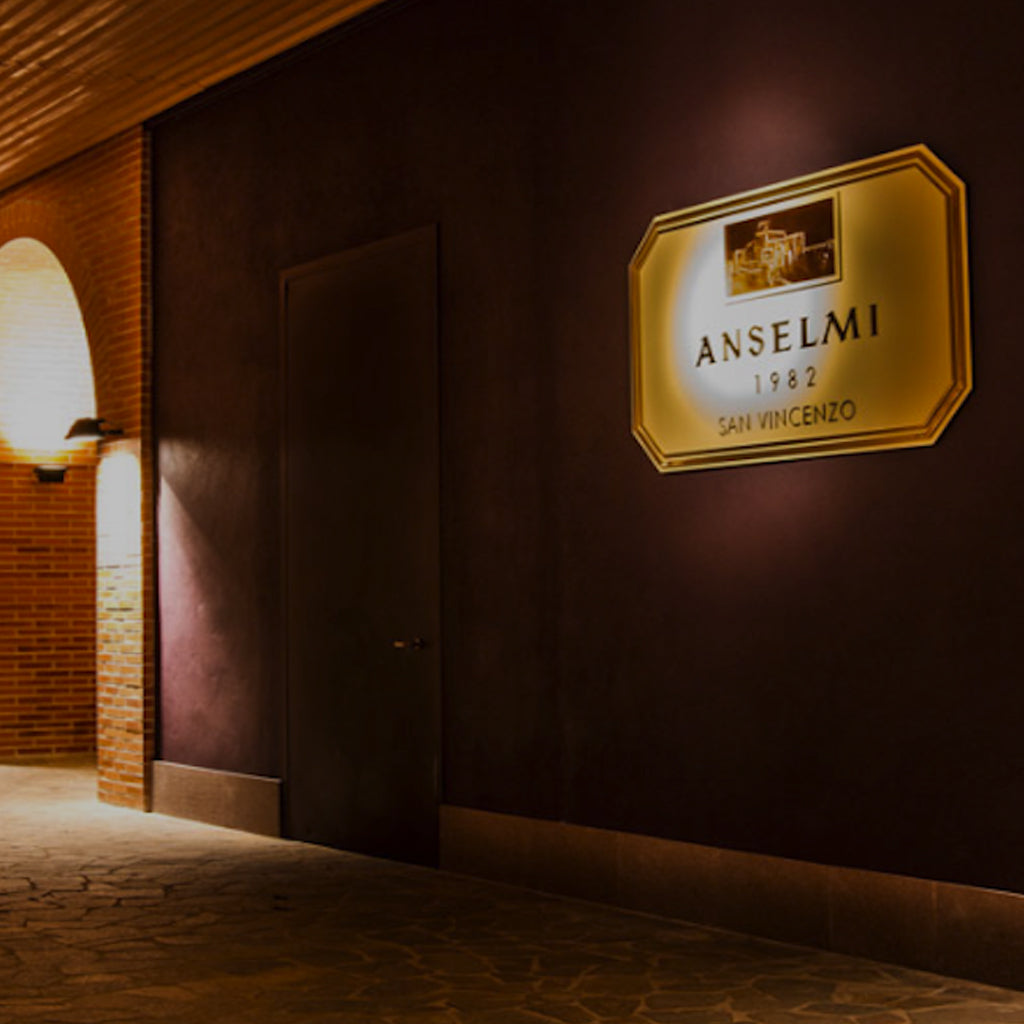 Inside the Anselmi Winery 