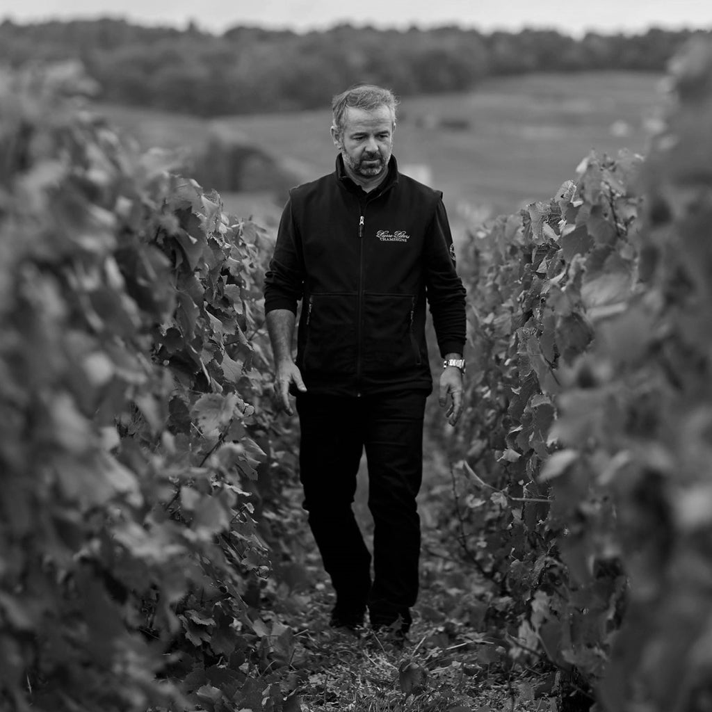 Rodolphe Péters in the Champagne Vineyards