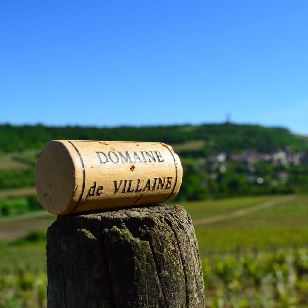 Domaine de Villaine Wines from Bouzeron