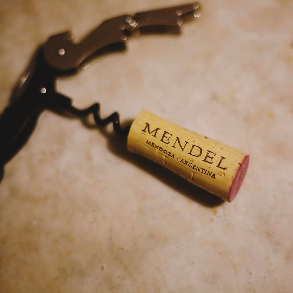 Mendel Wines cork still attached to corkscrew