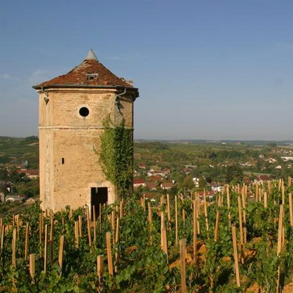 France | The Jura and Savoie