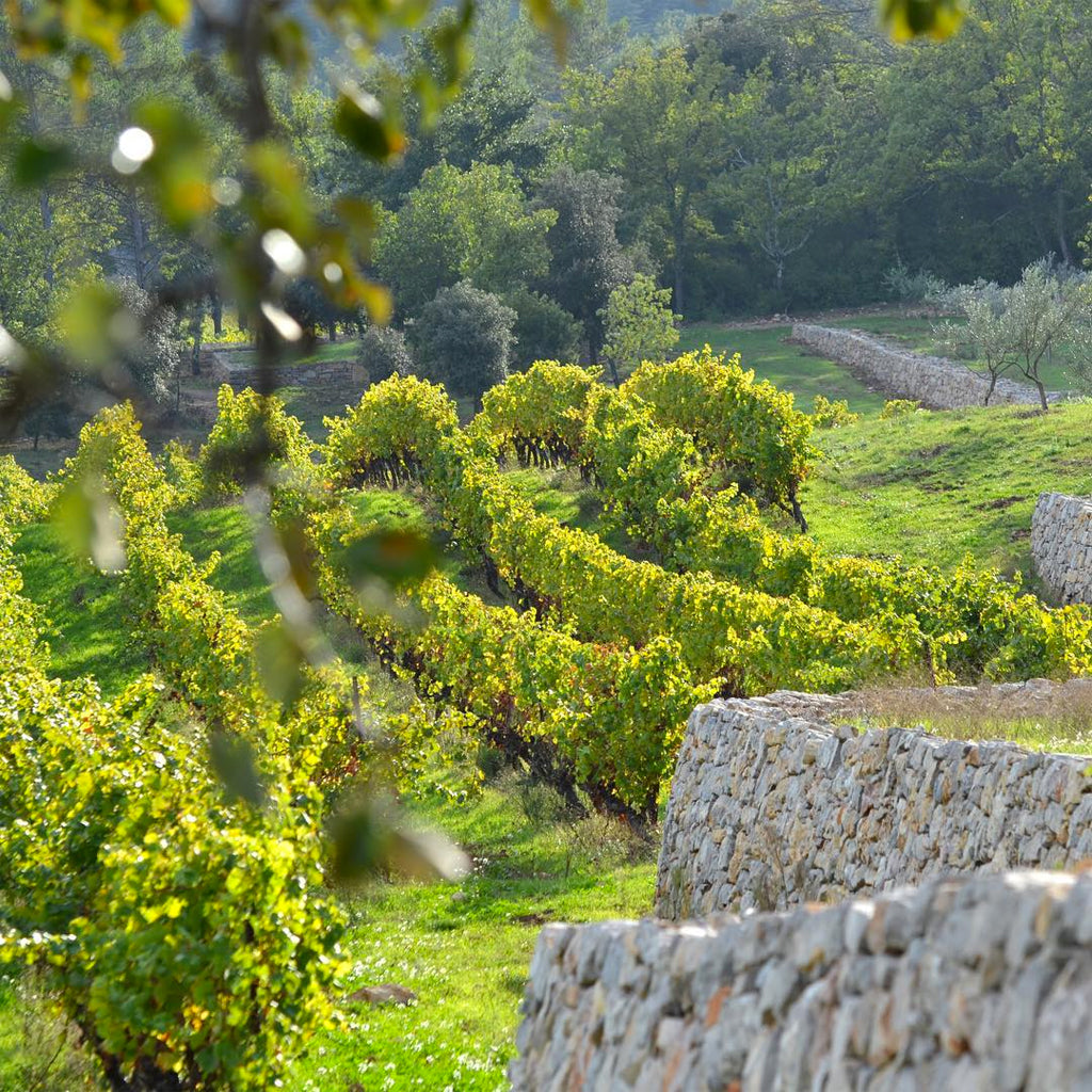 France | Provence