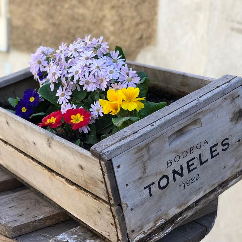 Flowers in a Bodega Toneles Vintage Grape Crate