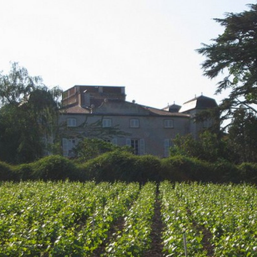 Domaine Château de Grand Pré Wine Estate in Beaujolais