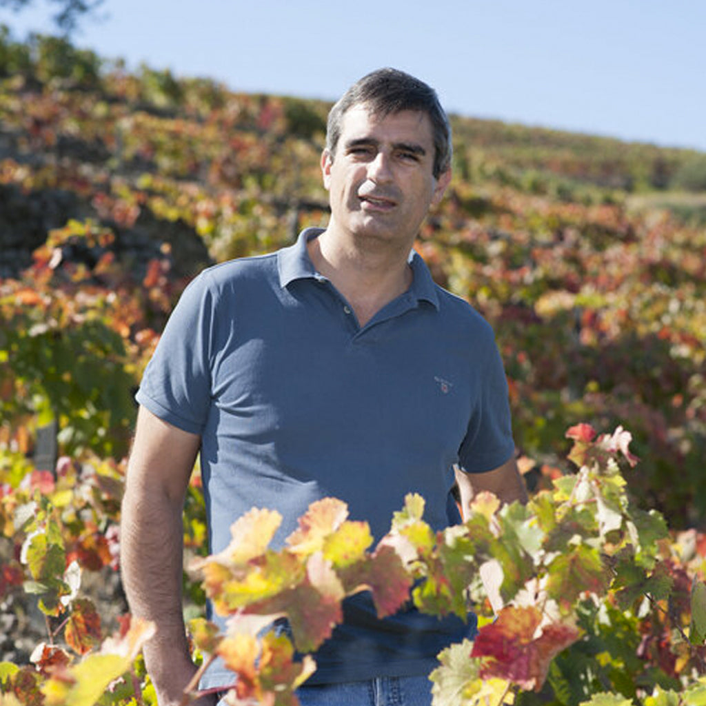 Luis Seabra in the vineyards