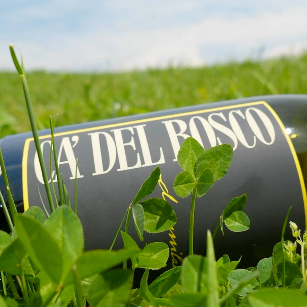 Bottle of Ca' del Bosco Chardonnay laying in the grass